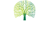 银河优越会